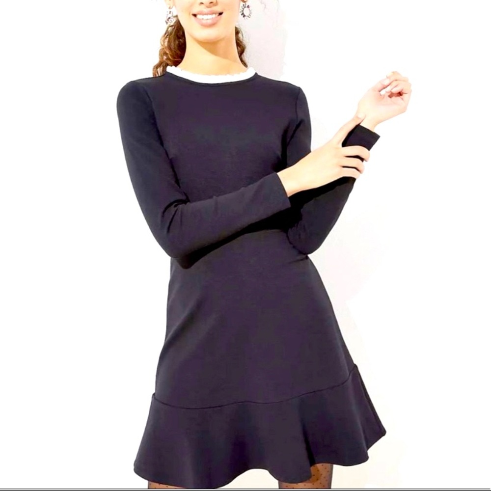 LOFT Black A-line Dress with White Frill Color